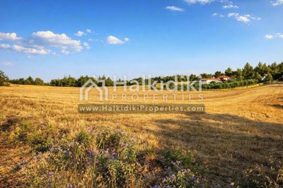 land-plot