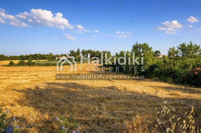 land-plot