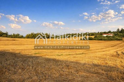 land-plot