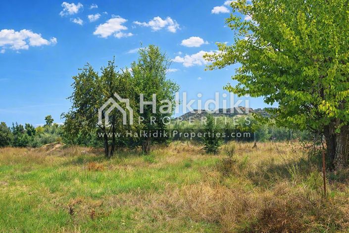 Image No.11-Land for sale