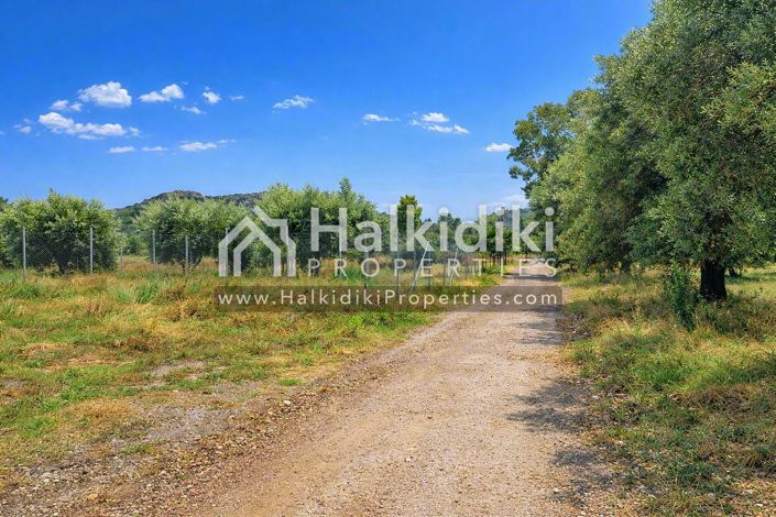 Image No.2-Land for sale
