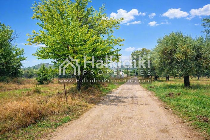Image No.7-Land for sale