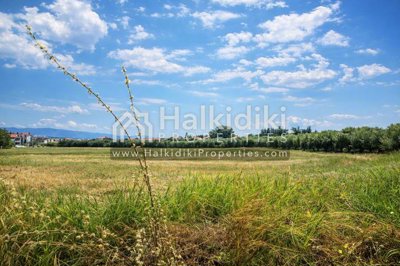 land-plot