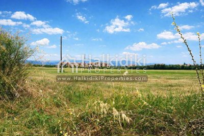 land-plot