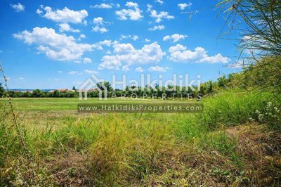 land-plot