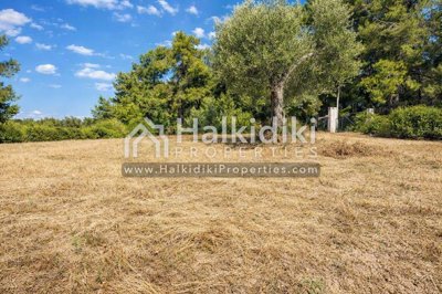 land-plot