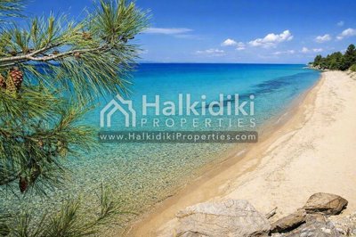 beach-view