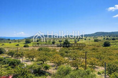 panoramic-view