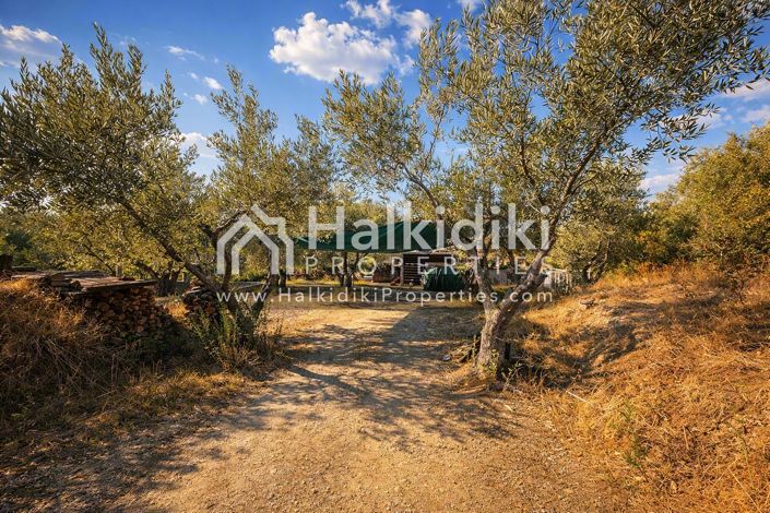 Image No.5-3 Bed Villa for sale