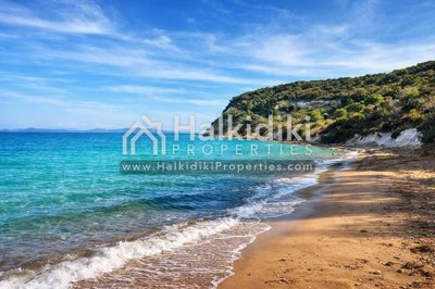 beach-view