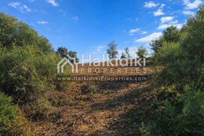 land-plot