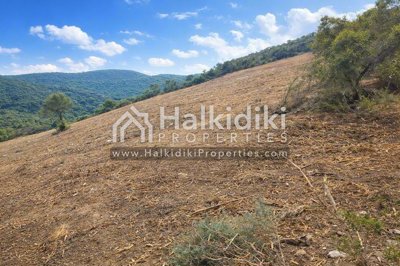 land-plot