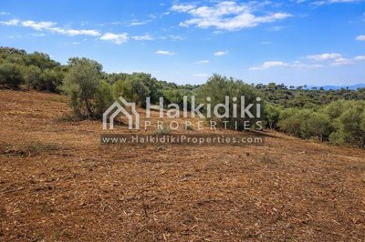 land-plot
