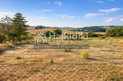 land-plot