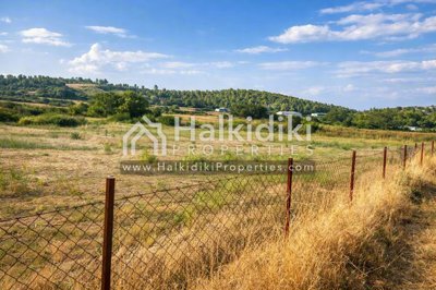 land-plot