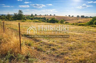 land-plot
