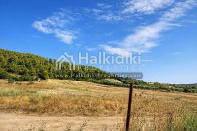 land-plot