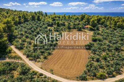 land-aerial