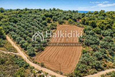 land-aerial