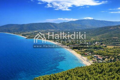 panoramic-view