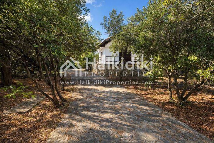 Image No.12-Plot for sale