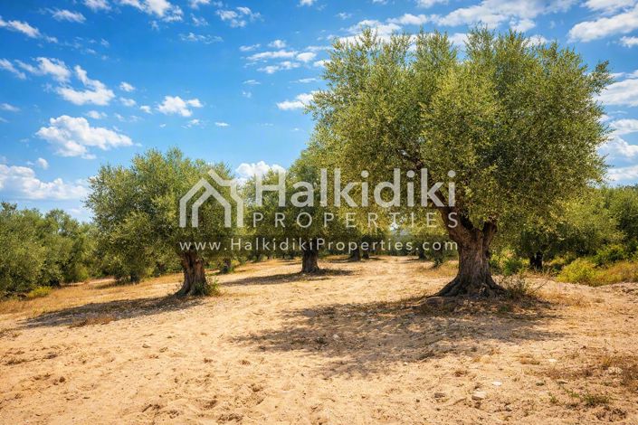 Image No.13-Plot for sale