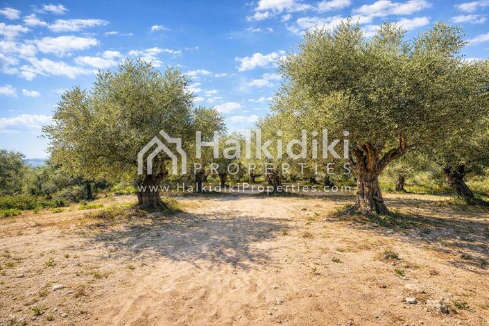 Image No.14-Plot for sale