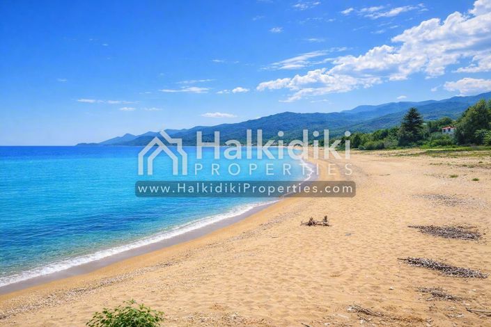 Image No.4-Terre à vendre à Halkidiki