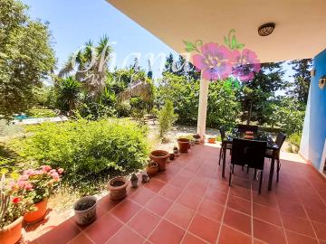 VTA704-Luis-el-valle-del-sol--2-of-45-