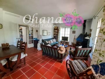 VTA704-Luis-el-valle-del-sol--21-of-45-