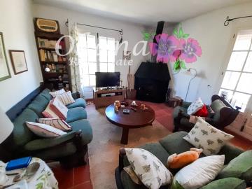 VTA704-Luis-el-valle-del-sol--24-of-45-