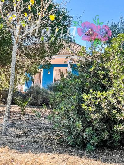 Image No.40-3 Bed Country House for sale