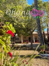 Balsamora-property-crea--1-of-62-