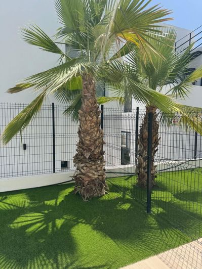Image No.46-Propriété de 3 chambres à vendre à Orihuela Costa