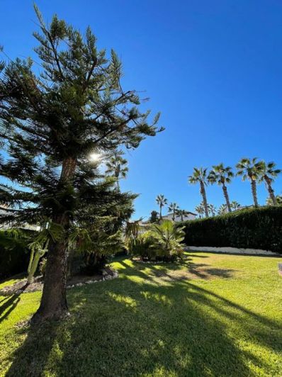 Image No.5-3 Bed Villa for sale