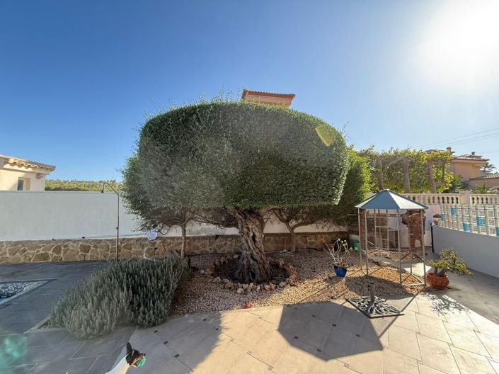 Image No.14-3 Bed Villa for sale