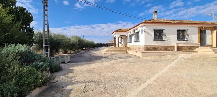 Image No.3-Villa de 3 chambres à vendre à Orihuela