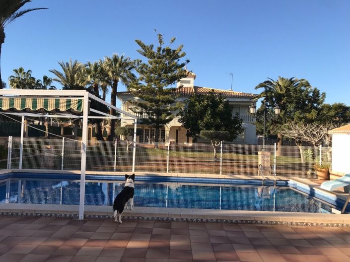 Image No.3-Villa de 7 chambres à vendre à Cabo Roig