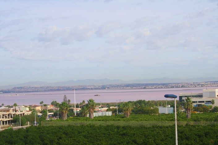 Image No.4-Maison de 3 chambres à vendre à Torrevieja