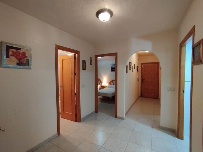 Image No.20-Appartement de 3 chambres à vendre à Torrevieja