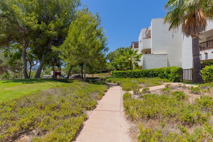 Image No.42-Appartement de 2 chambres à vendre à Orihuela