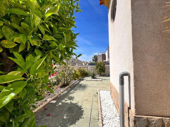 Image No.3-Chalet de 3 chambres à vendre à Torrevieja