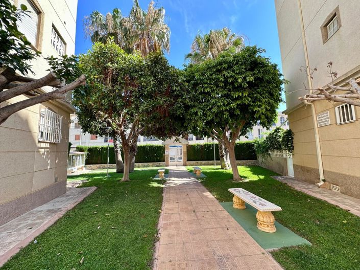 Image No.29-Appartement de 2 chambres à vendre à Torrevieja