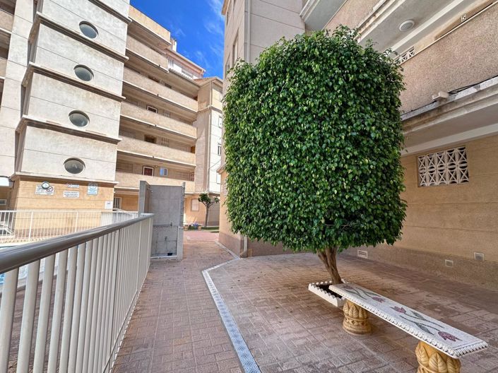 Image No.30-Appartement de 2 chambres à vendre à Torrevieja
