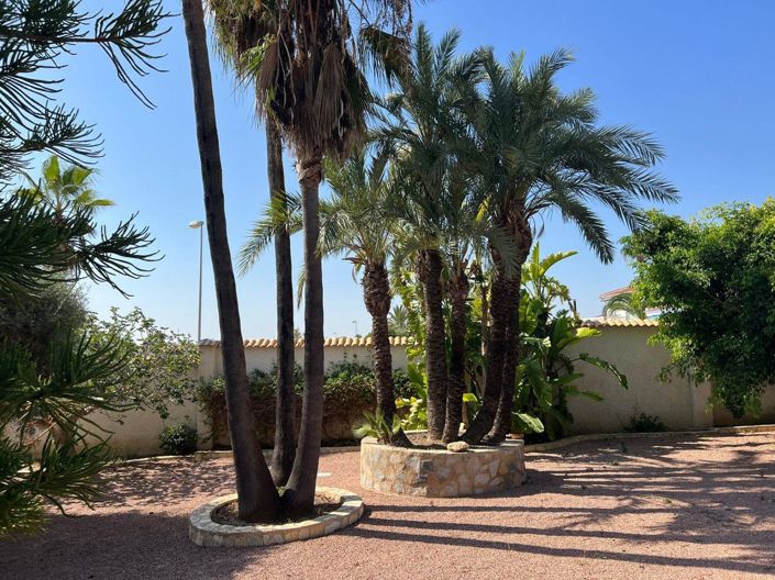 Image No.3-3 Bed Villa for sale