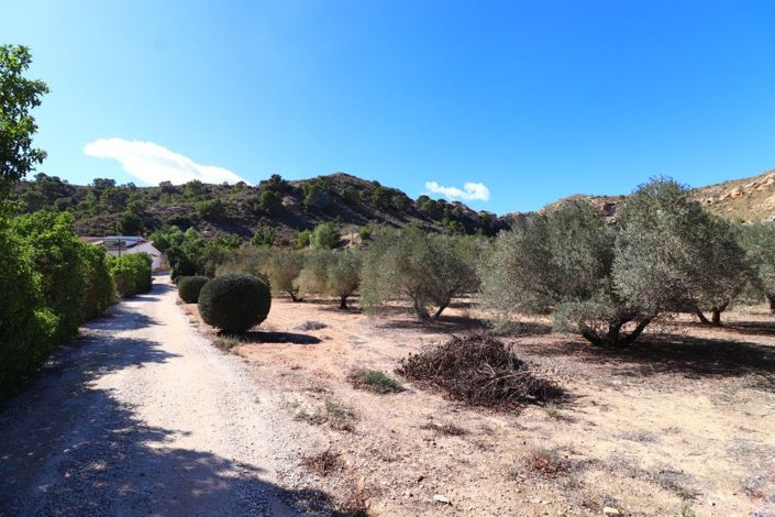 Image No.44-5 Bed Villa for sale