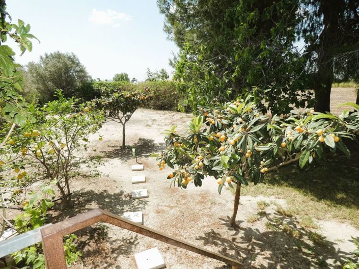 Image No.42-3 Bed Country House for sale