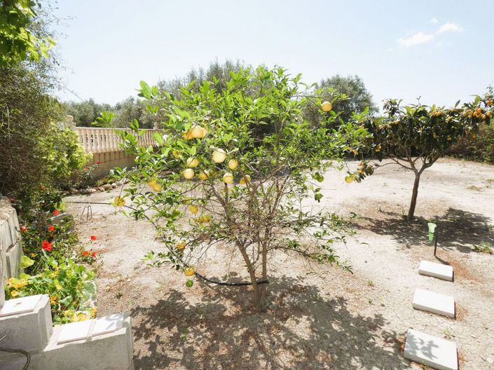 Image No.45-3 Bed Country House for sale