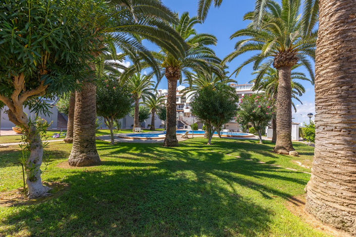 Image No.28-Appartement de 1 chambre à vendre à Torrevieja