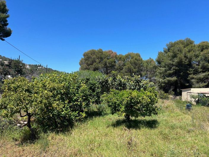 Image No.5-Villa de 4 chambres à vendre à Novelda